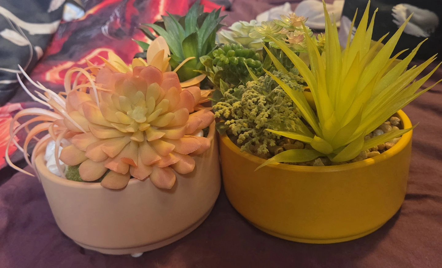 Artificial Succulent Plant Arrangement - photo 4