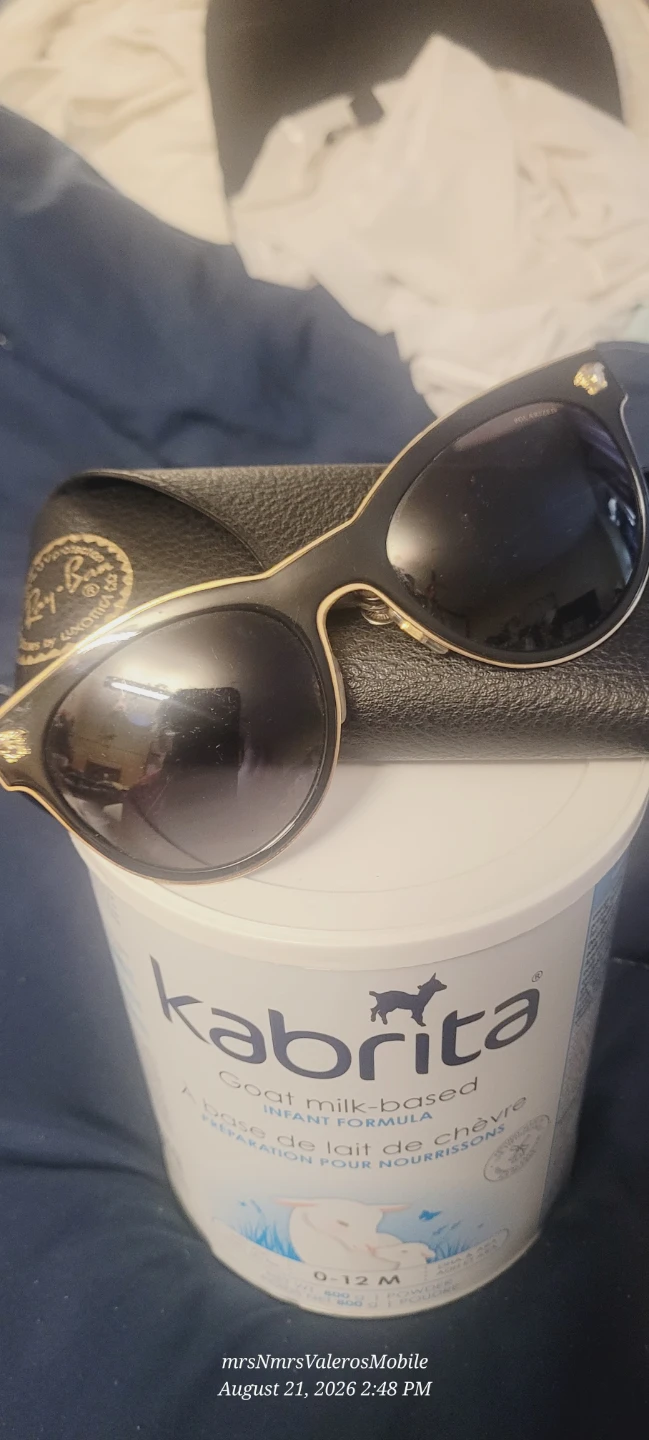 Ray-Ban Sunglasses with Case