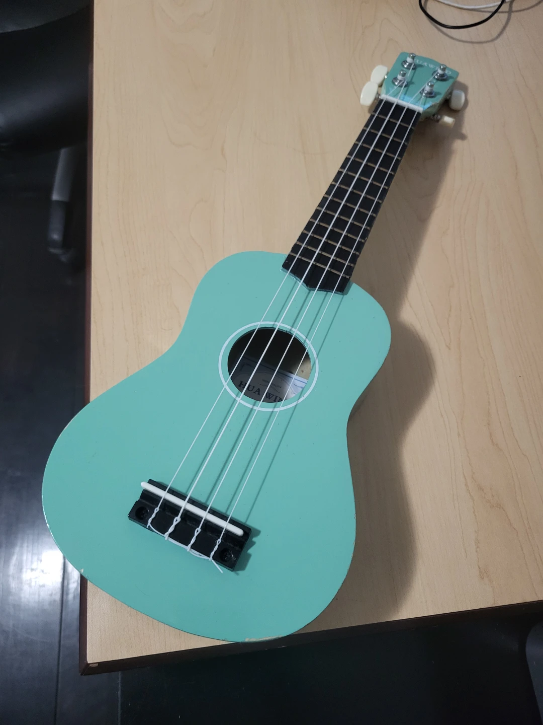 Aqua Ukulele - Great for Beginners
