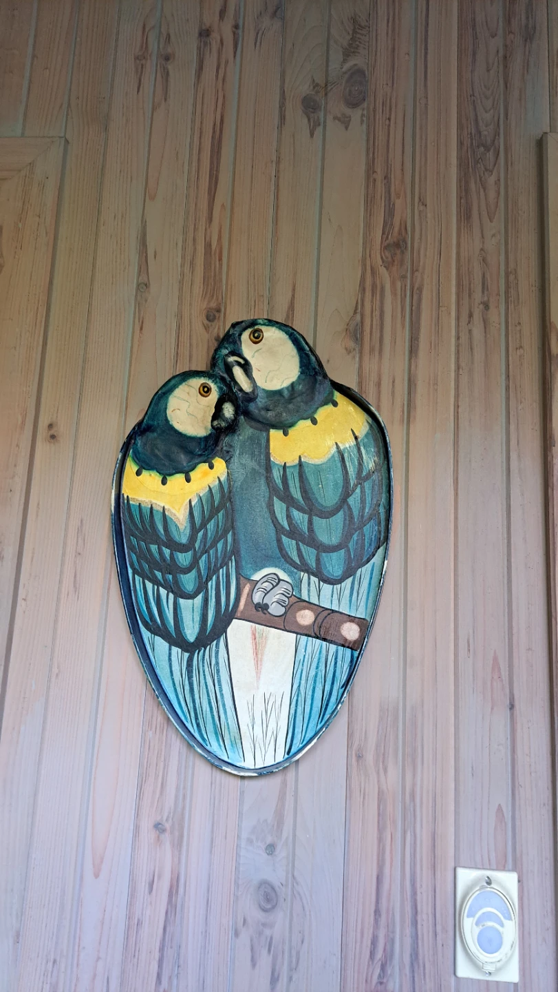 Macaw Wall Art