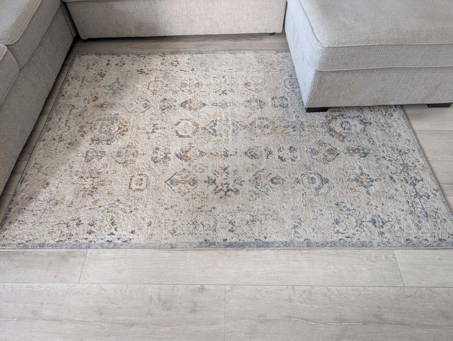 Area Rug with Traditional Pattern - photo 2