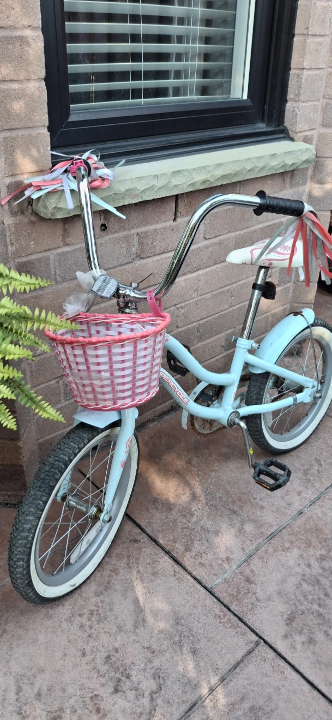 Light Blue Girls' Bicycle with Basket