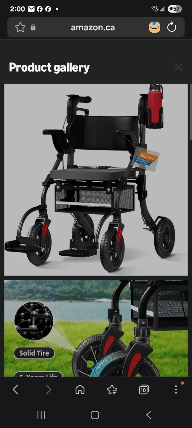 BigAlex 2 in 1 Rollator Walker & Transport Chair