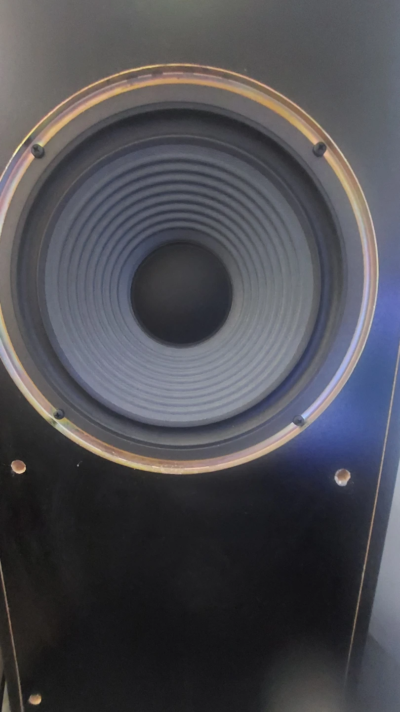 Mint Condition sony speakers MUST GO - photo 4