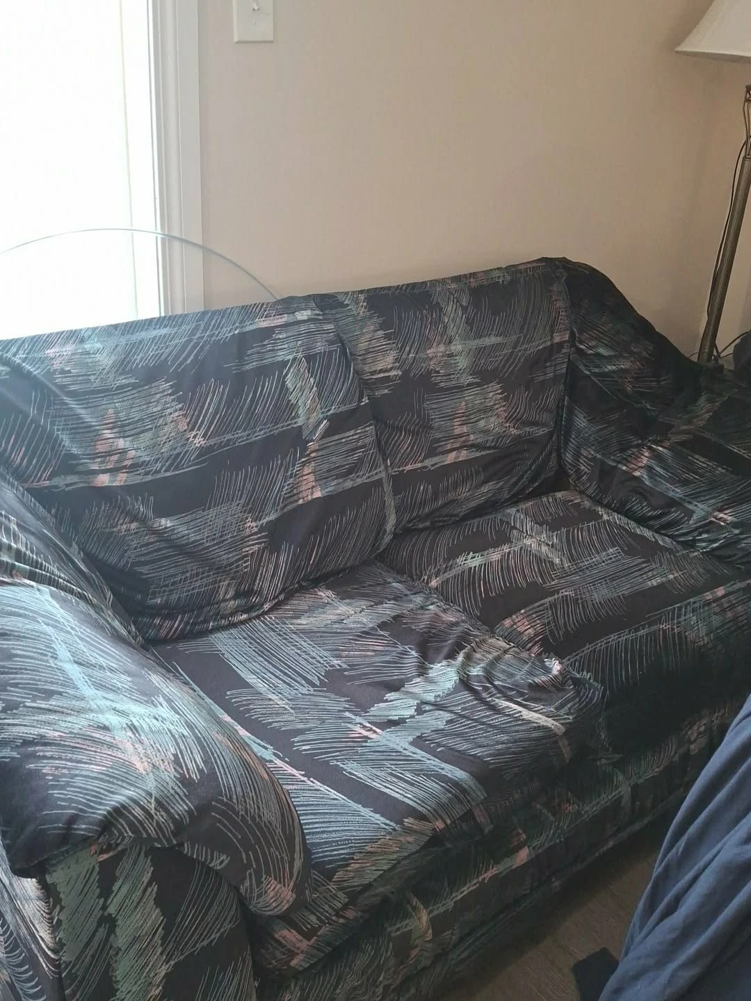 Sofa set and dinning chairs