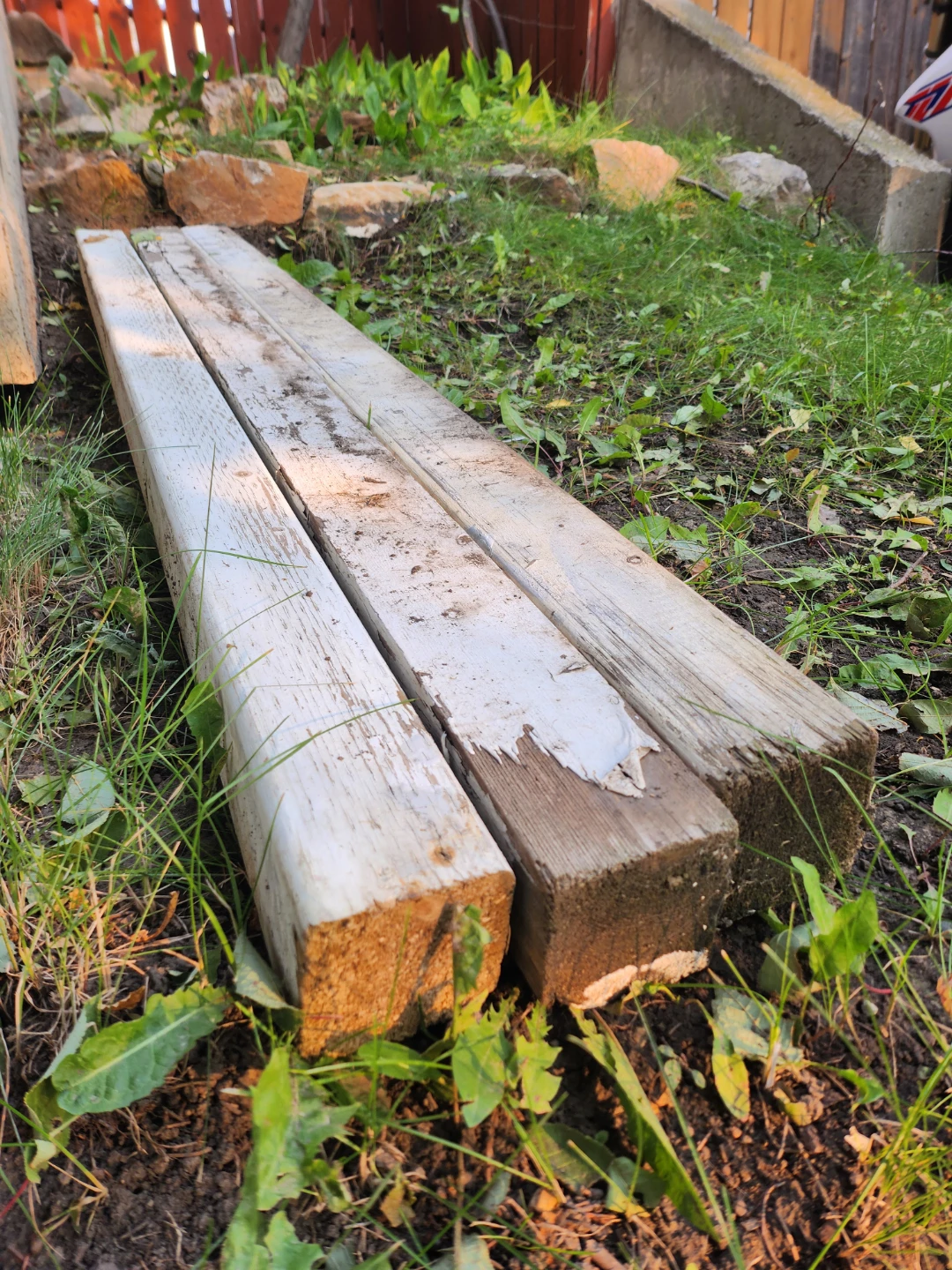 Wooden Gardening Planks- (Set of 3)