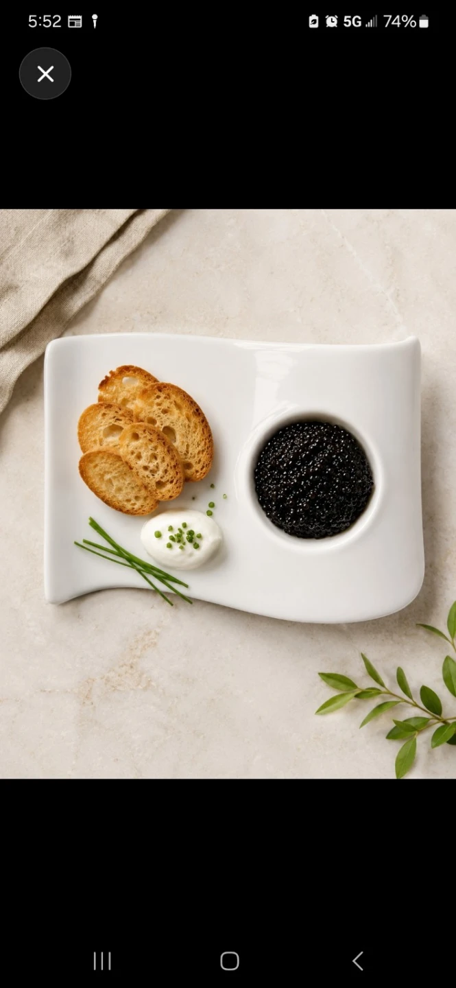 NEW Villeroy & Boch NewWave  / Appetizer Plates –  Germany