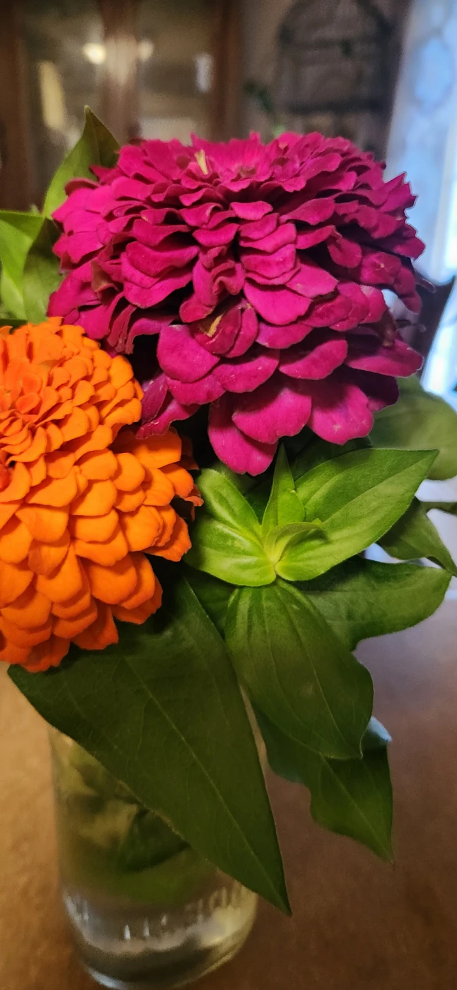 Mixed Zinnias Bouquet - photo 4