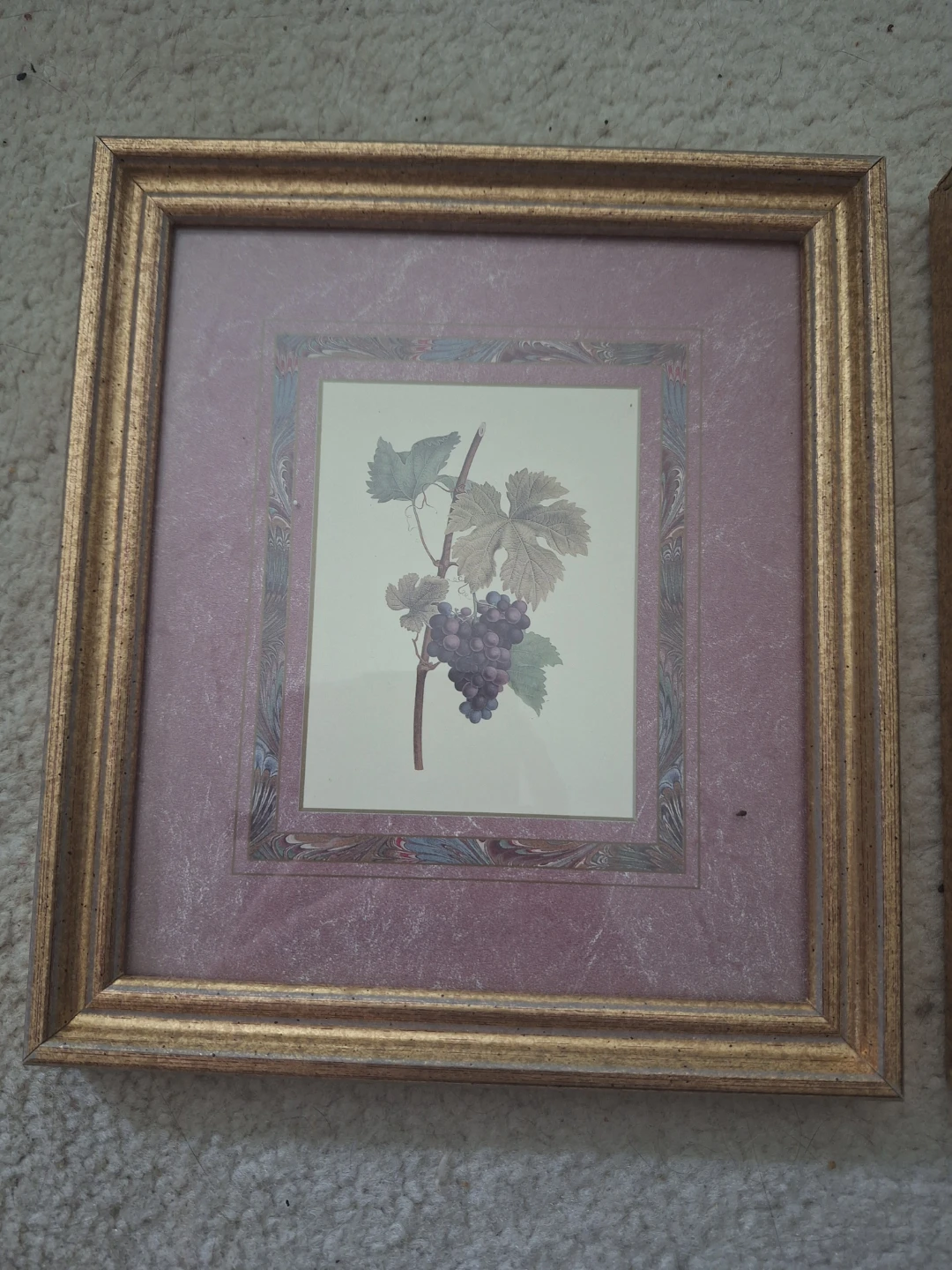 Set of 2 Framed Botanical Prints 🍇 - photo 3