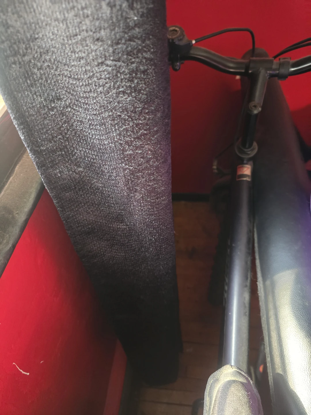 Regency Pacific Bike - photo 5