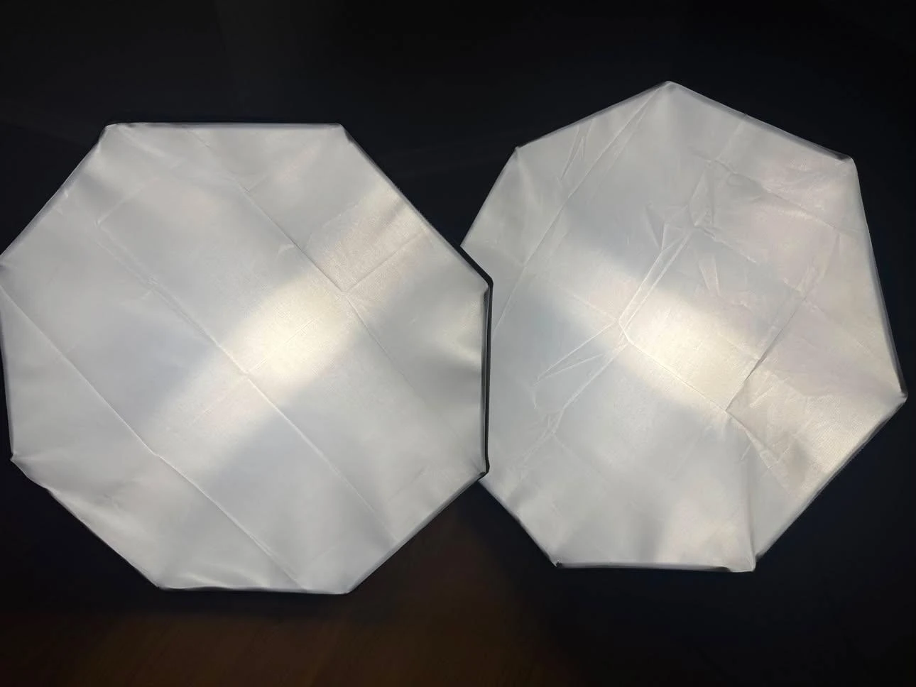 Set of 2 Octagonal Softboxes of 60cm with LED lights