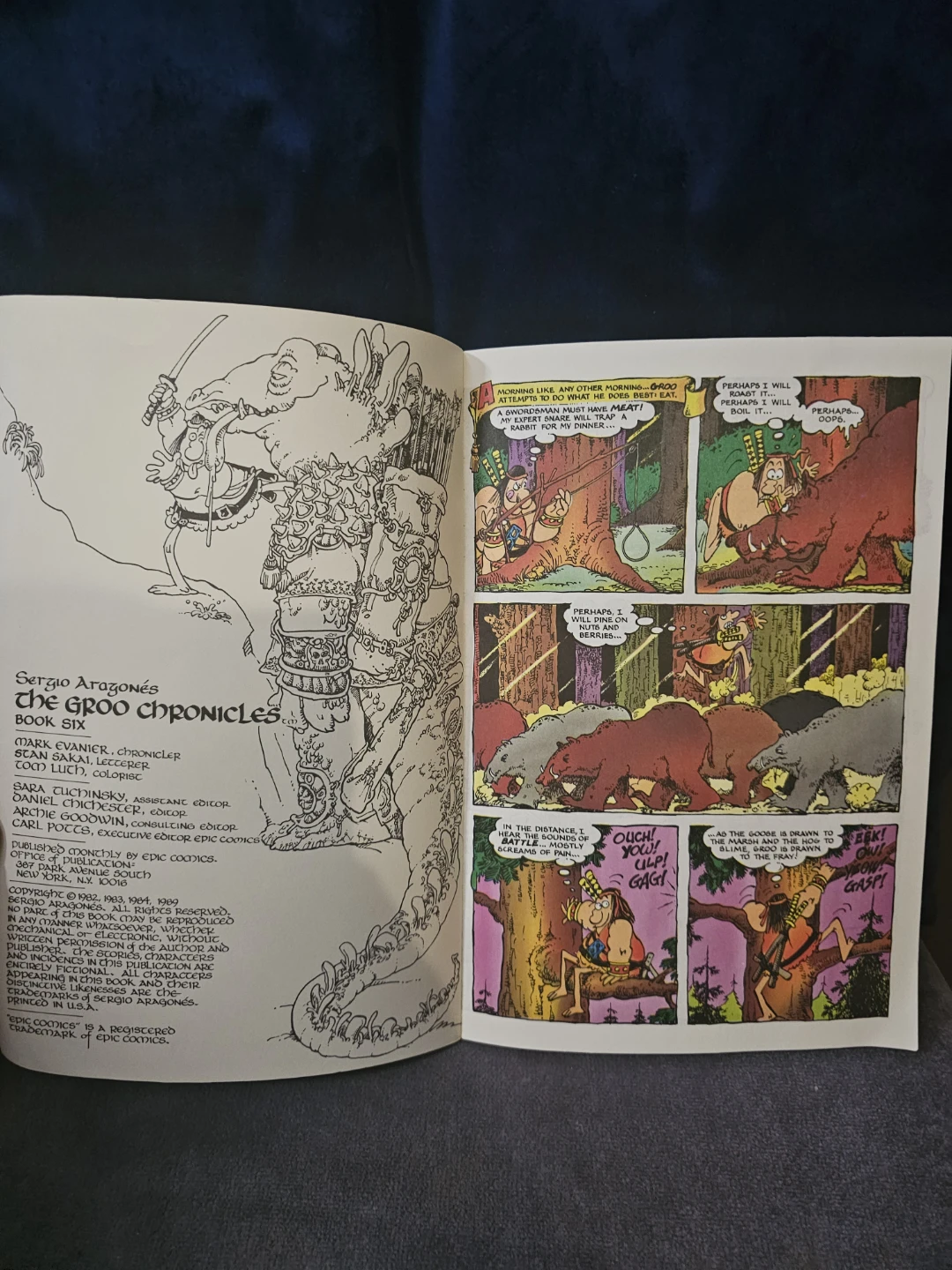 Sergio Aragonés' The Groo Chronicles Book 6 Comic - photo 2