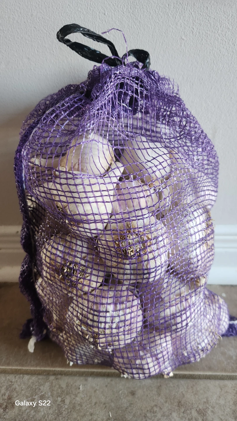 Organic garlic