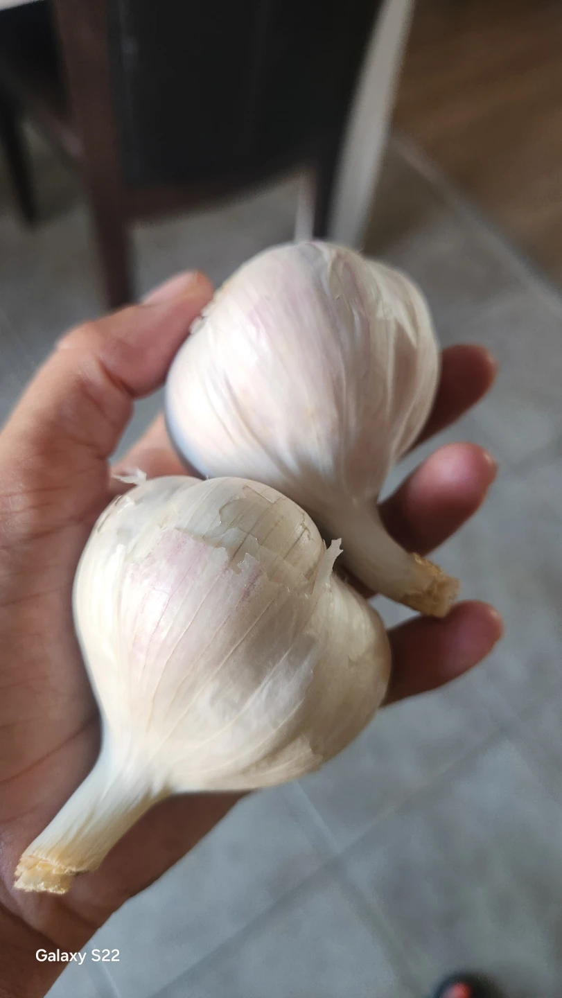 Organic garlic - photo 2