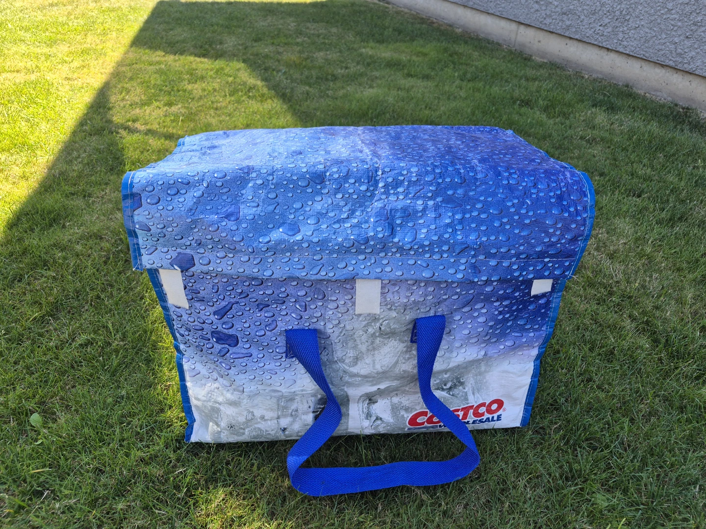 Costco Insulated Cooler Bag with Styrofoam Insert - photo 2