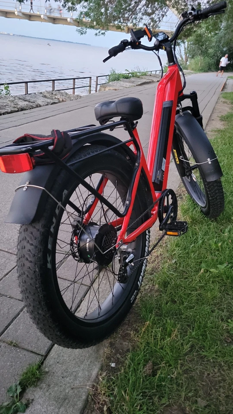Wildgoose Red Electric Fat Bike
