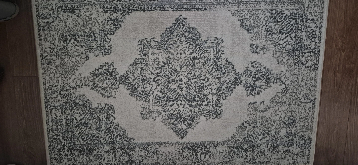 Area Rug with Traditional Design