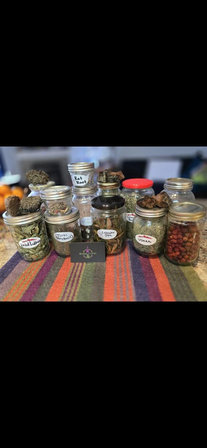 Wildcrafted Herbal Teas, Herbs and lip balms - photo 2