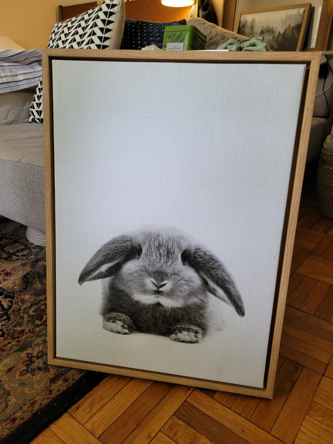Framed Canvas Wall Art - Cute Bunny - photo 2