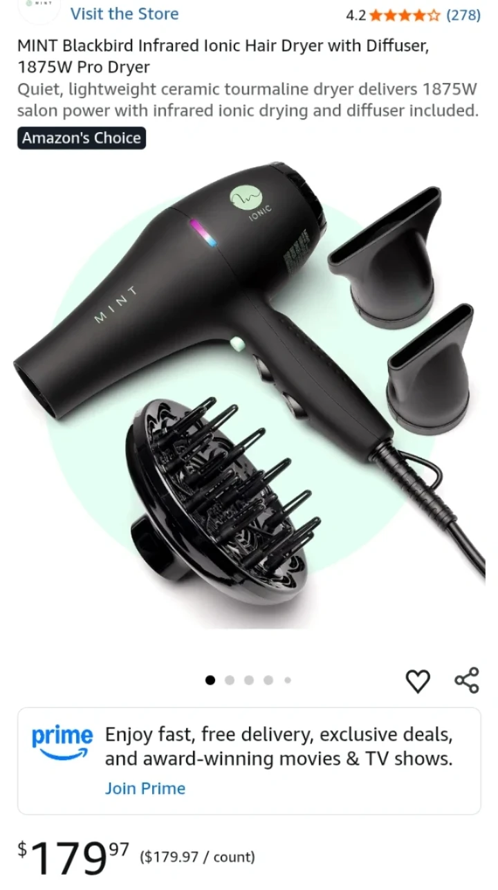 MINT Blackbird Infrared Ionic Hair Dryer