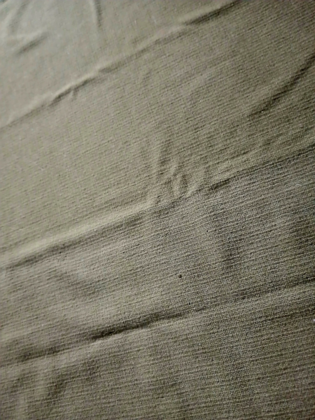 FREE Olive Green Blanket & Pillow Cover - photo 2