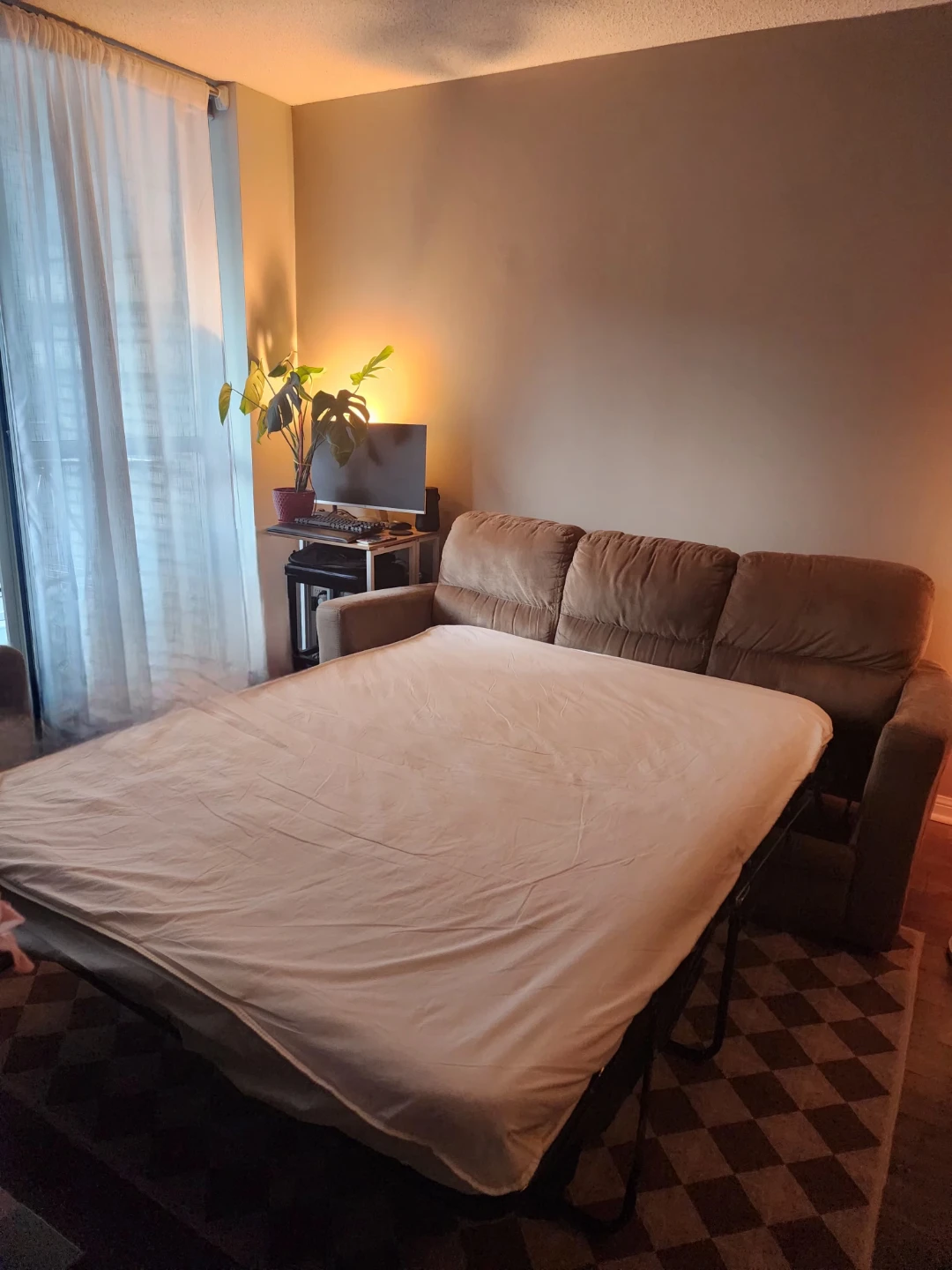 Pull-out Couch - photo 2