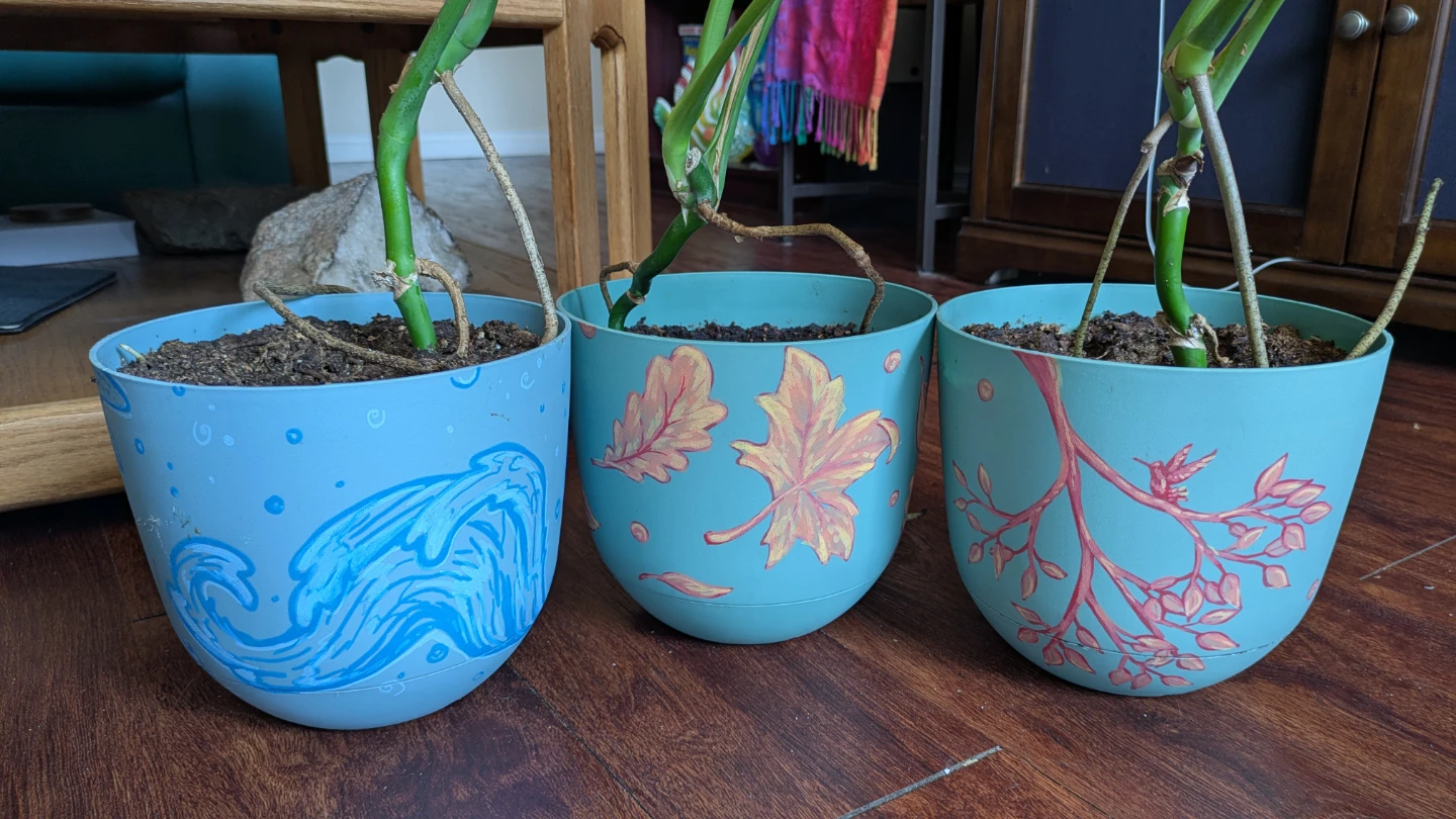 3 Monstera Babies with Decorative Pots - photo 4