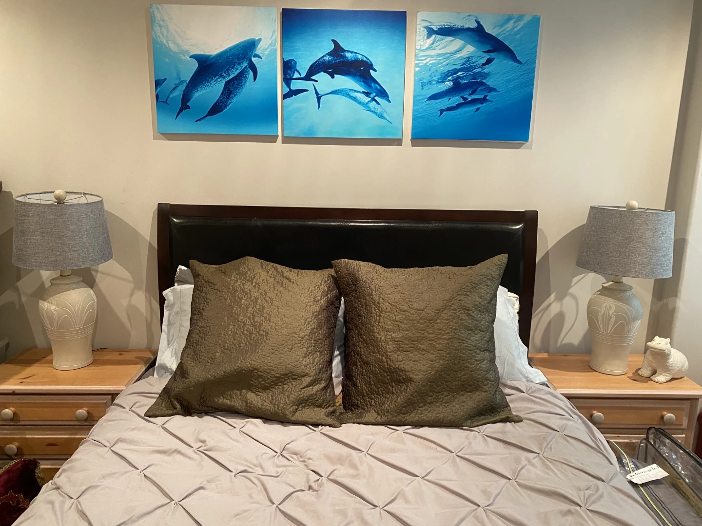 Pair of decorative throw pillows