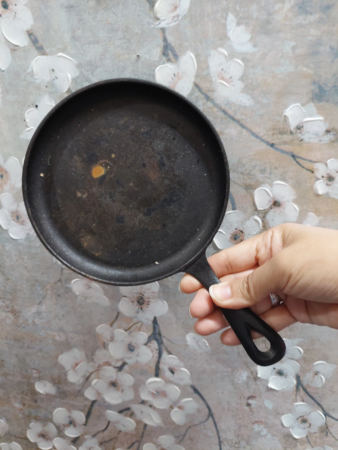 Cast Iron Skillet Frying Pan