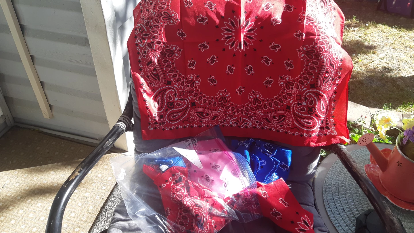 Red Paisley Bandana - photo 3
