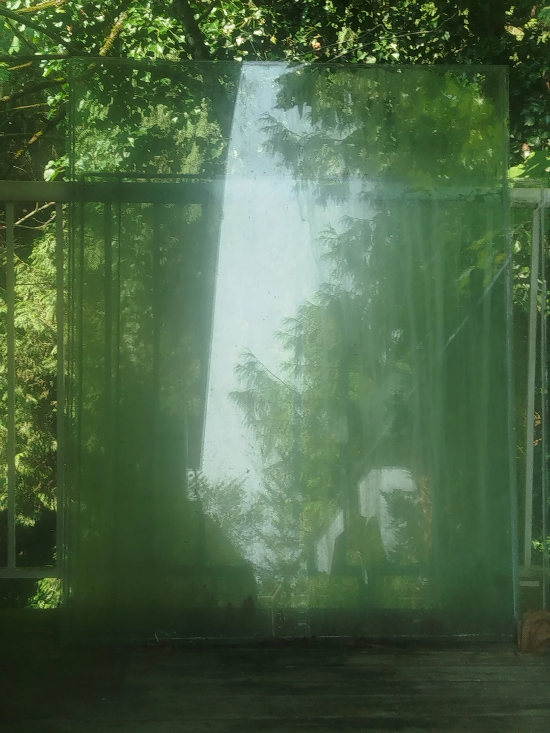Sheet of Glass - photo 2