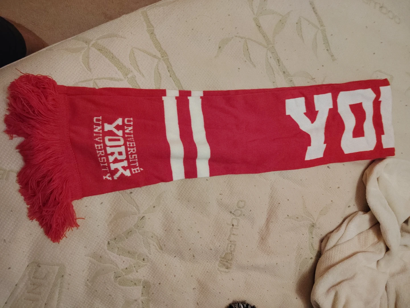 York University Scarf - photo 2