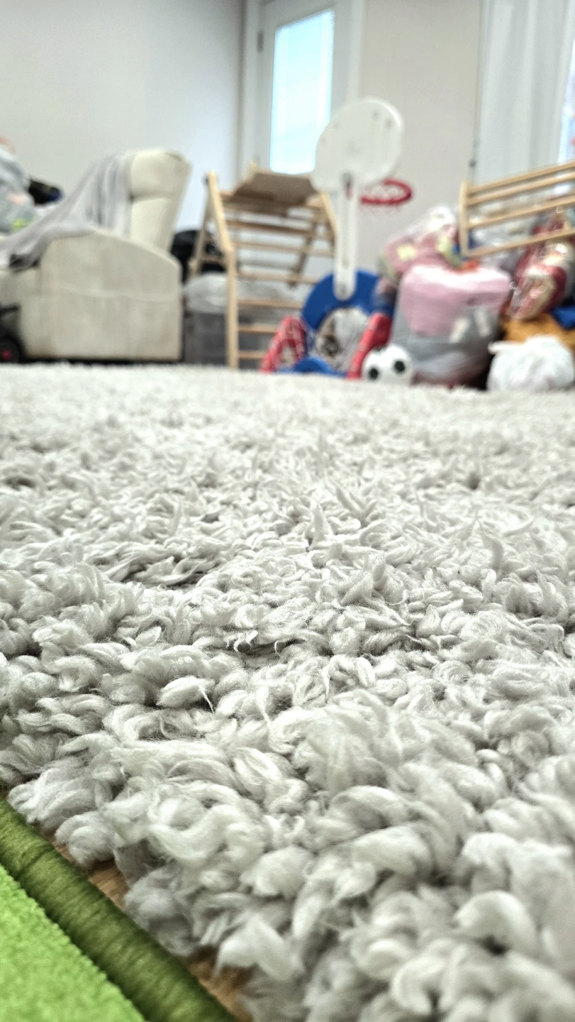West Elm Cozy Plush Performance Shag Rug, 6' x 9', Frost Gray