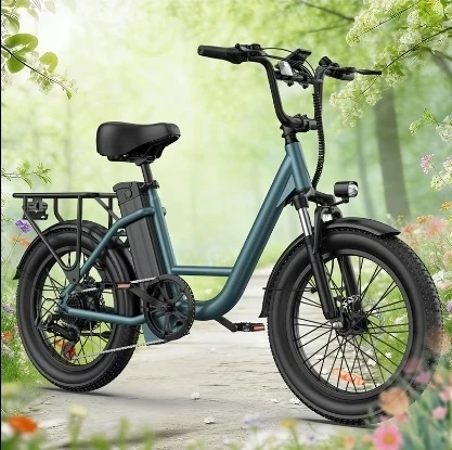 Electric Fat Tire Bike - photo 2