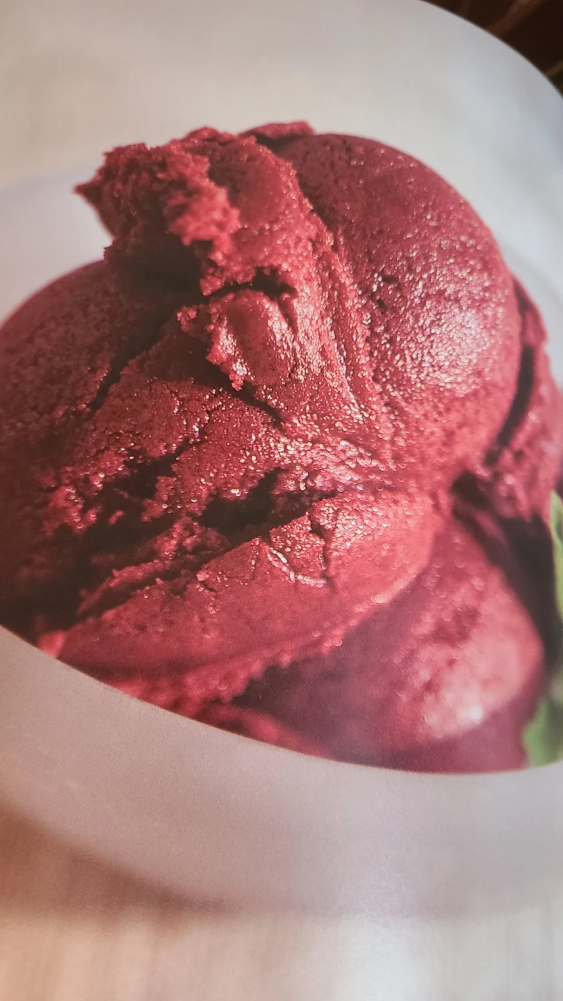 Williams-Sonoma Ice Cream Cookbook - photo 4