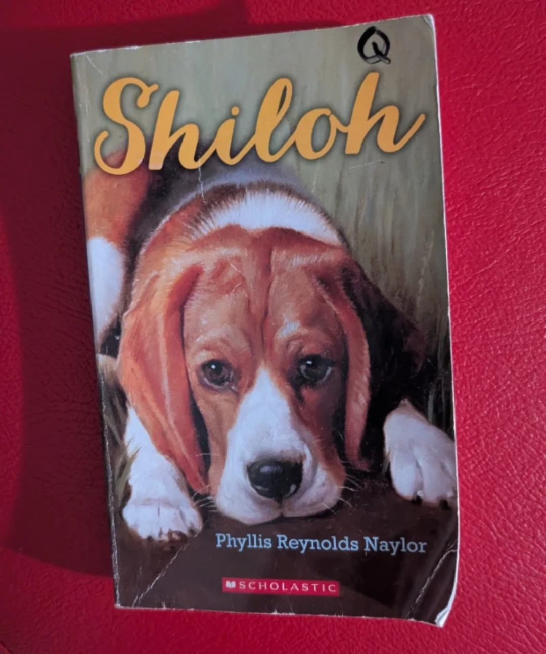 Shiloh by Phyllis Reynolds Naylor