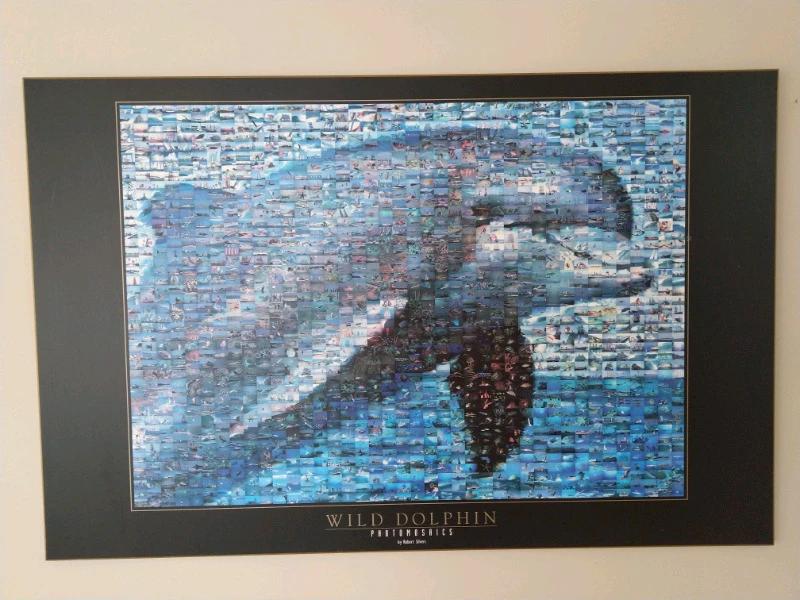 Wild Dolphin Photomosaics Art Print