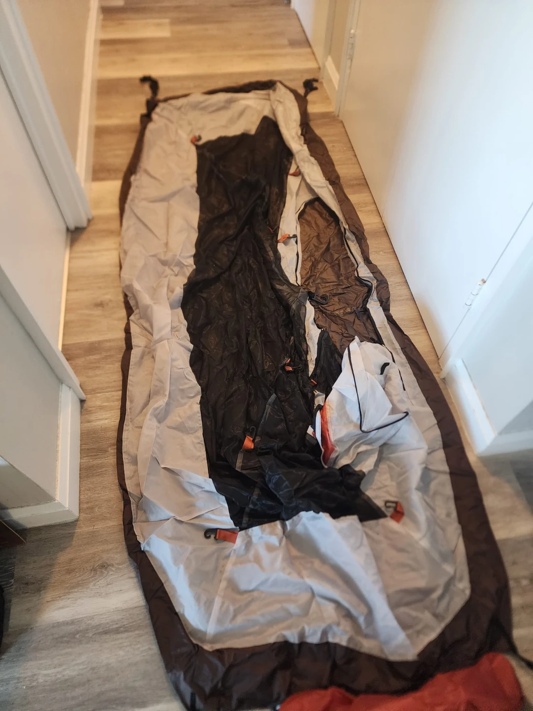 ALPS Mountaineering Lynx 1 Backpacking Tent - photo 2