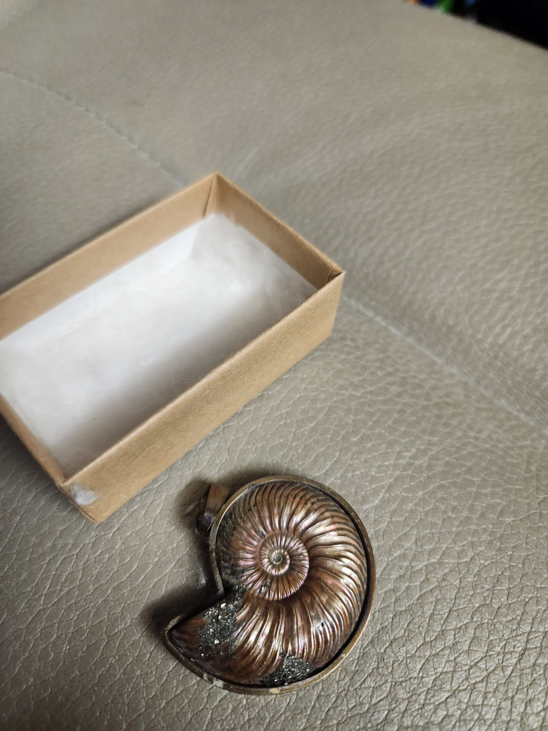 Rocks & Gems Canada Ammonite Pendant