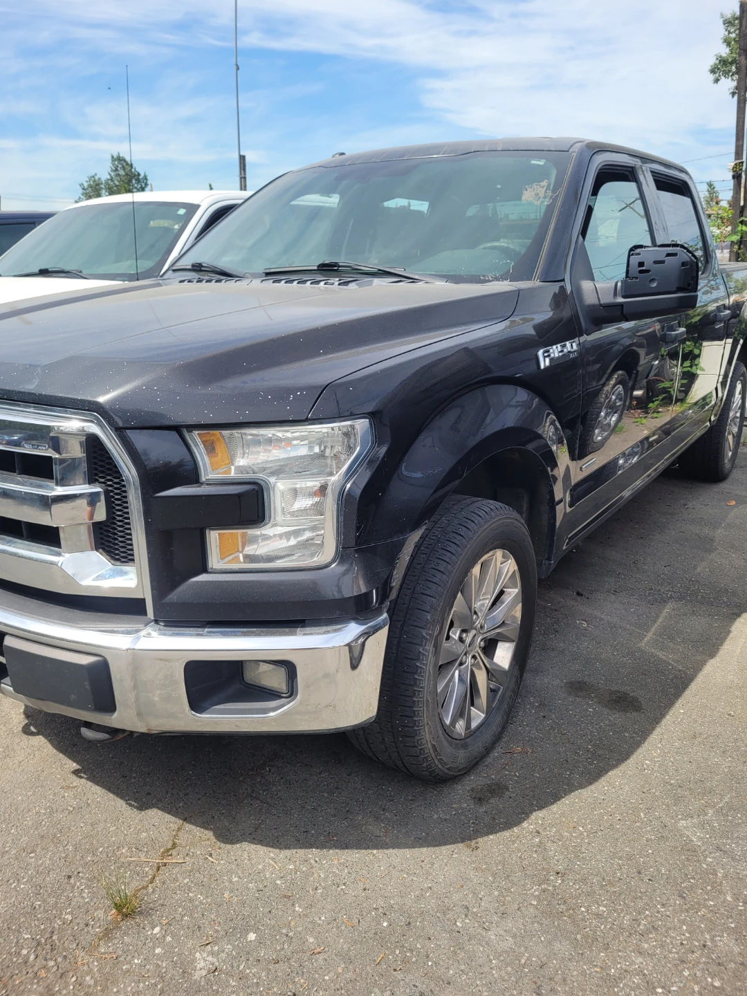 Ford F-150 Truck