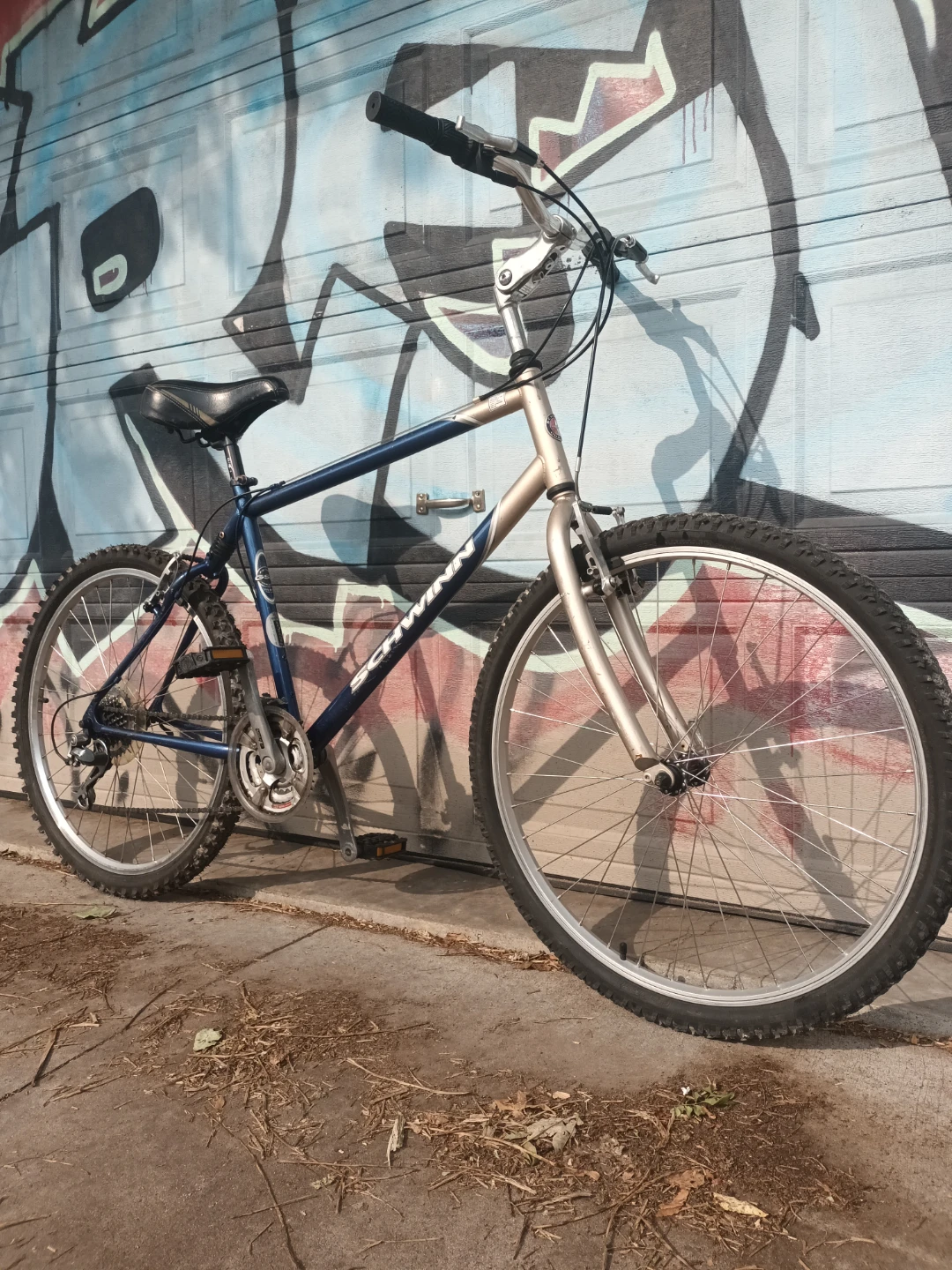 Schwinn GSX Bike