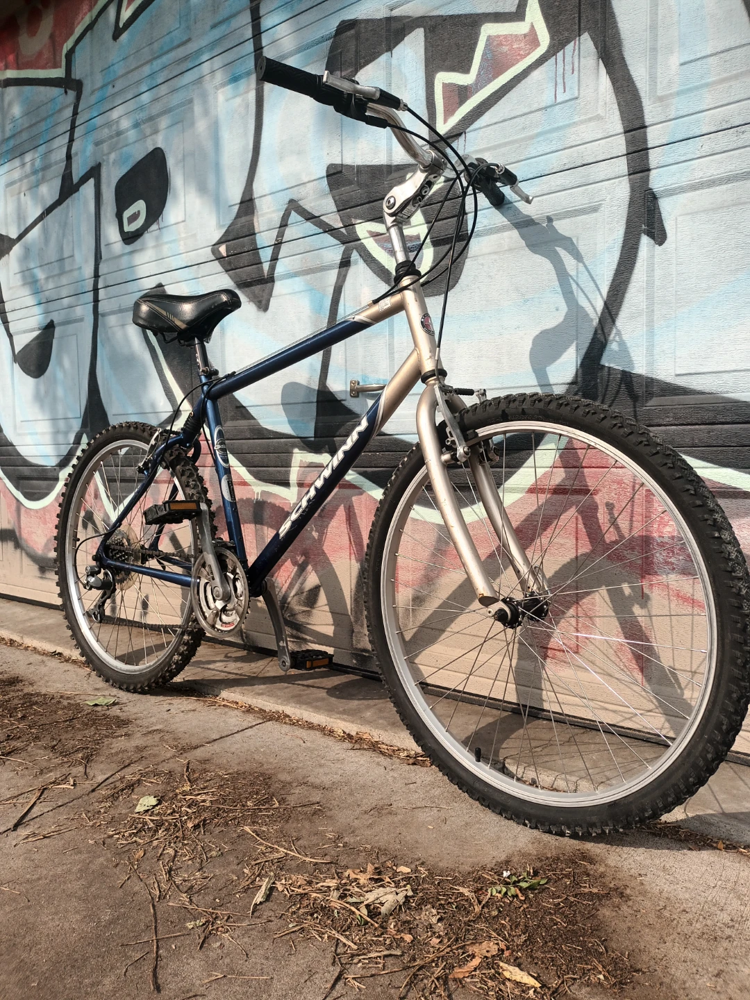 Schwinn GSX Bike - photo 2