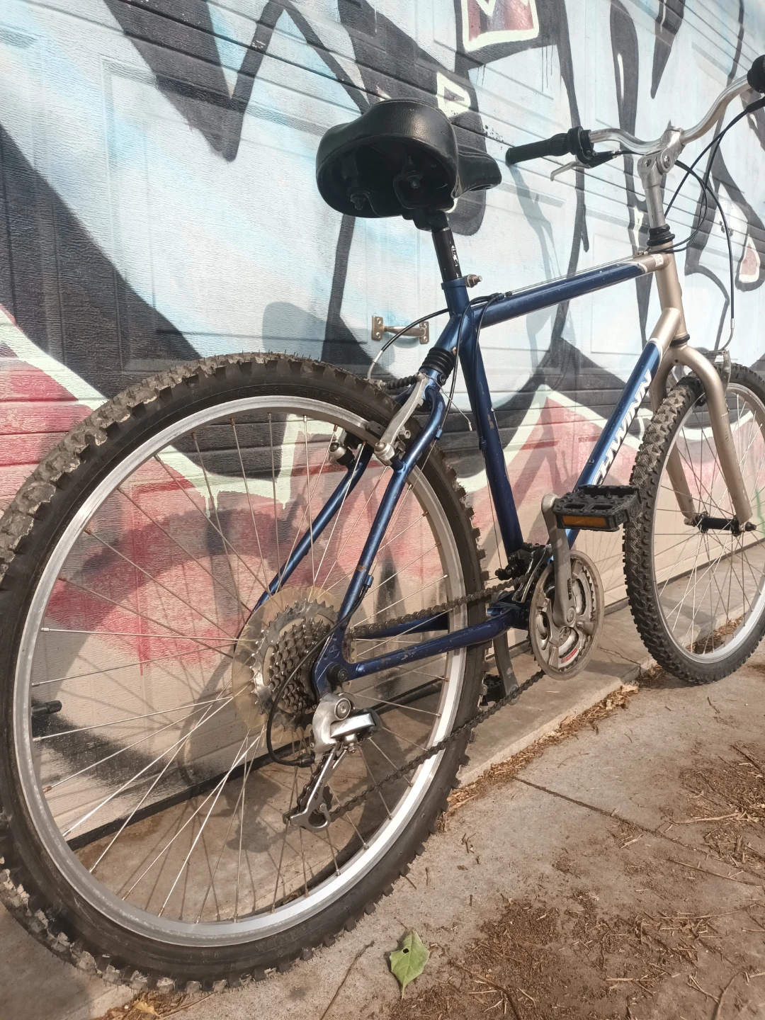 Schwinn GSX Bike - photo 3