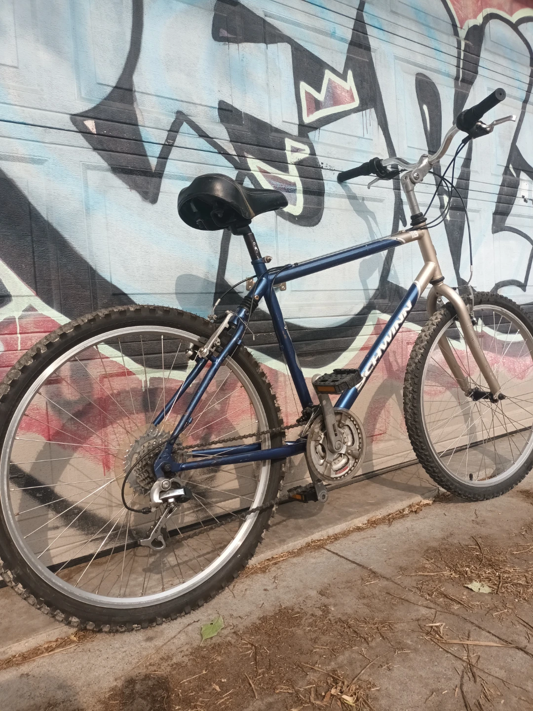 Schwinn GSX Bike - photo 4