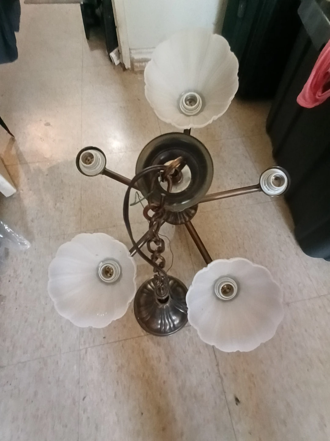 Chandelier with 4 Frosted Glass Shades - photo 5