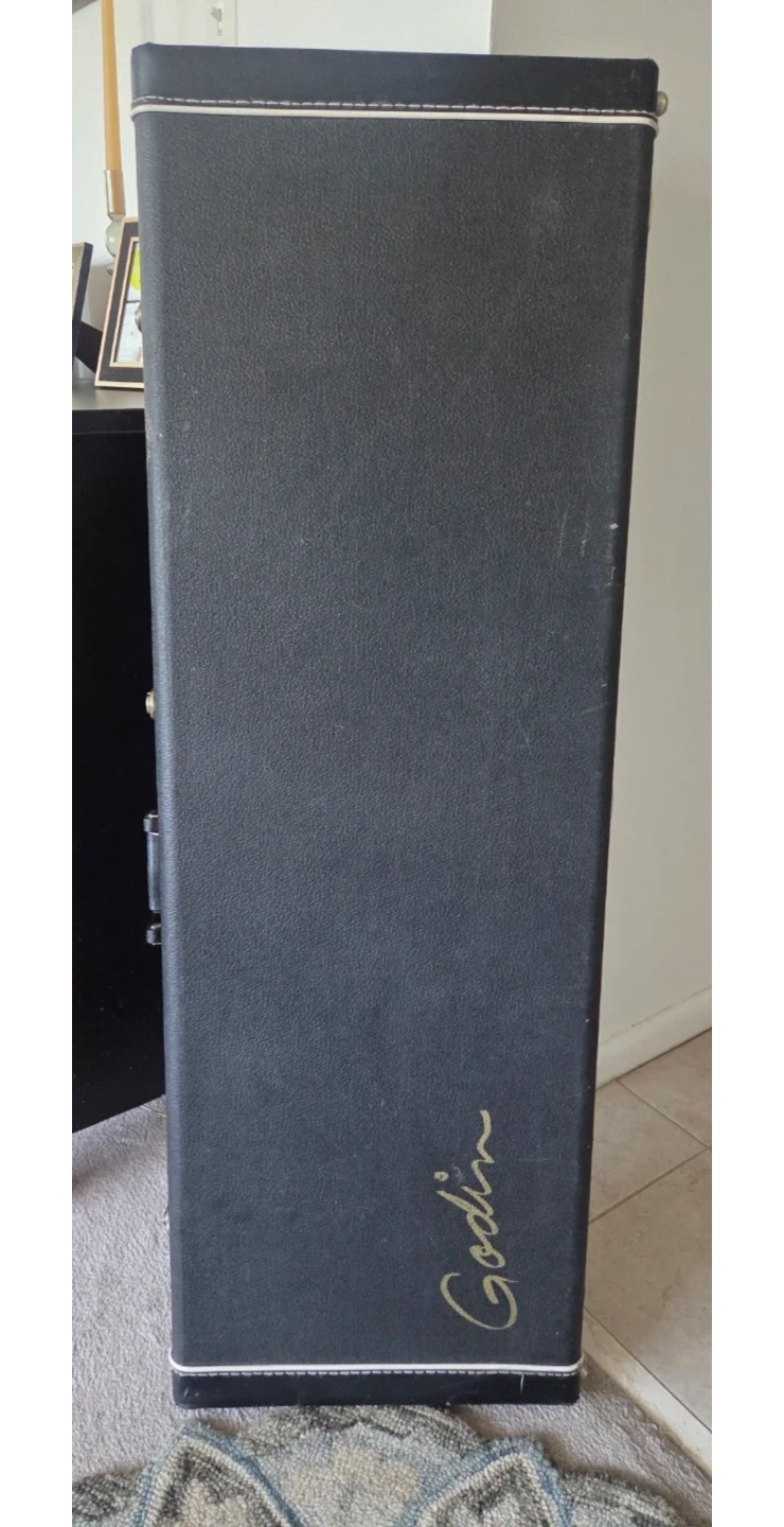 Godin Guitar Case - photo 3