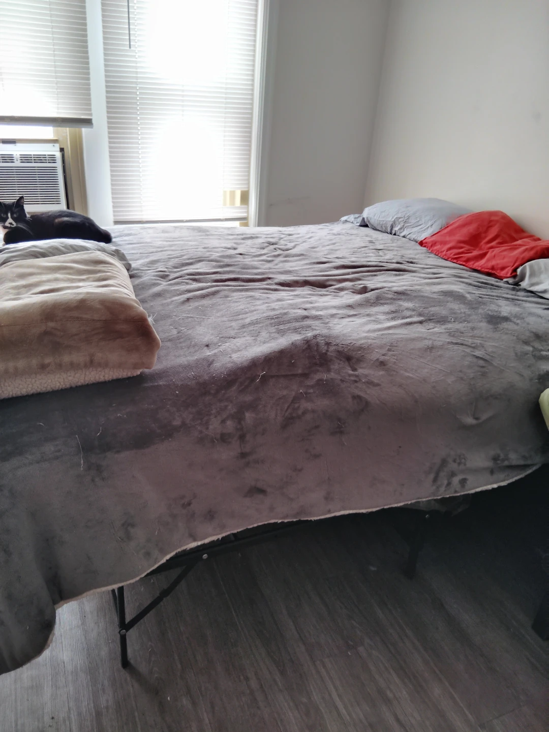 QUEEN Size New MATTRESS WITH FOLDING METAL Bed Frame!!! - photo 2