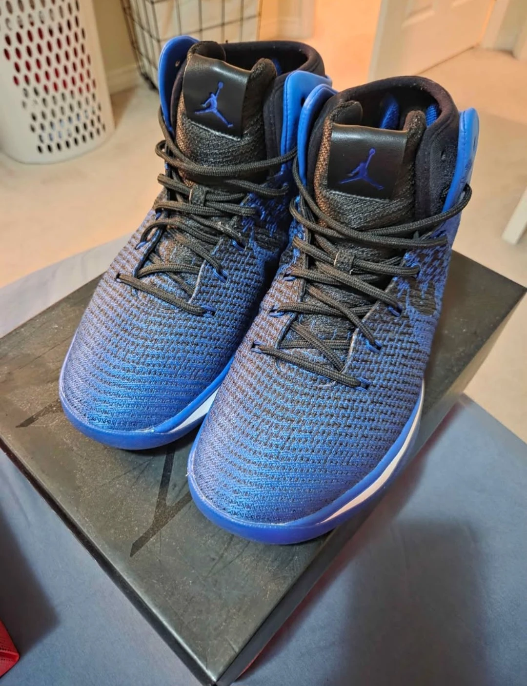 Air Jordan XXXI Royal