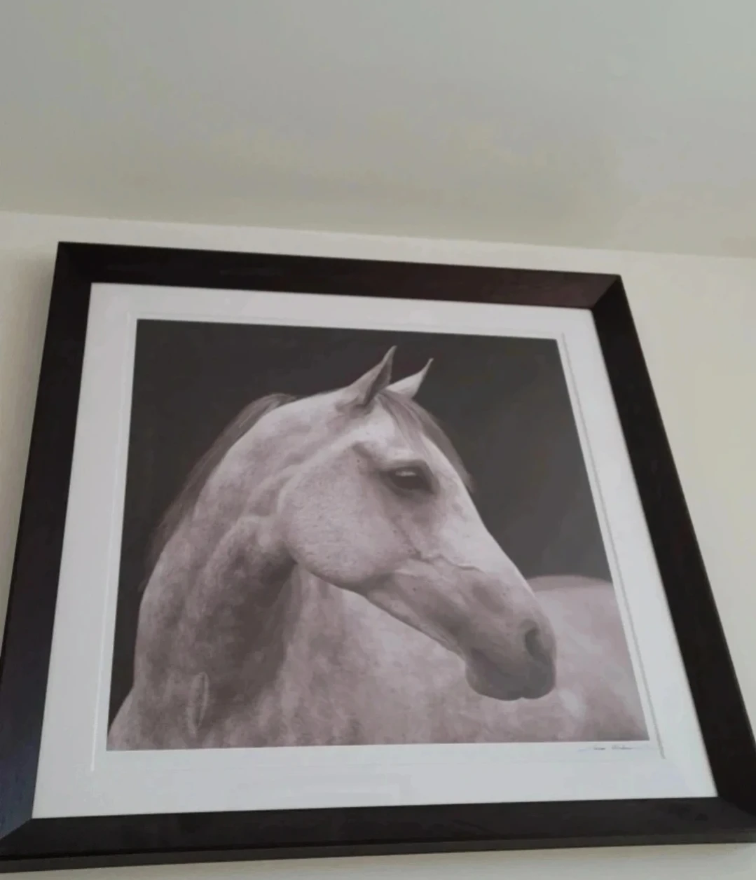 William Sonoma Framed Horse Wall Art - photo 2