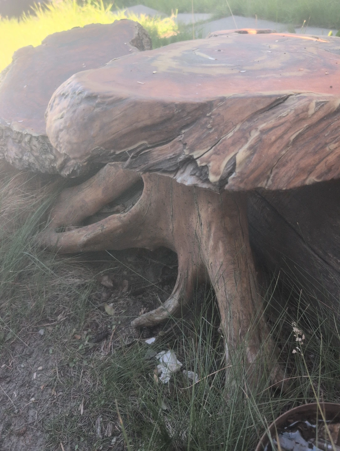 Unique Live Edge Wood Slice Table Base - photo 3